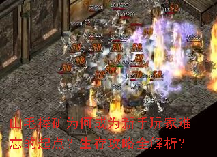 山毛榉矿为何成为新手玩家难忘的起点?生存攻略全解析? 山毛榉矿为何成为新手玩家难忘的起点?生存攻略全解析?