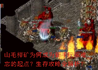 山毛榉矿为何成为新手玩家难忘的起点?生存攻略全解析? 山毛榉矿为何成为新手玩家难忘的起点?生存攻略全解析?