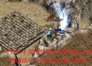 传奇新手如何快速刷毒蛇山谷副本?速通技巧与装备选择要点解析? 传奇新手如何快速刷毒蛇山谷副本?速通技巧与装备选择要点解析?