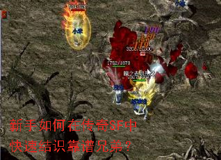 新手如何在传奇SF中快速结识靠谱兄弟? 新手如何在传奇SF中快速结识靠谱兄弟?