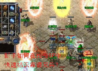 新手如何在传奇SF中快速结识靠谱兄弟? 新手如何在传奇SF中快速结识靠谱兄弟?
