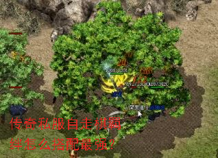 传奇私服自走棋羁绊怎么搭配最强? 传奇私服自走棋羁绊怎么搭配最强?