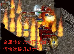 金庸传奇宠物玩法如何快速提升战力? 金庸传奇宠物玩法如何快速提升战力?