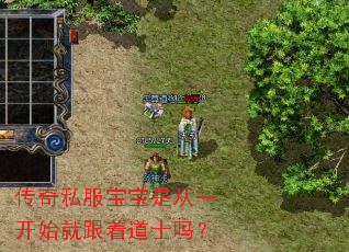 传奇私服宝宝是从一开始就跟着道士吗? 传奇私服宝宝是从一开始就跟着道士吗?