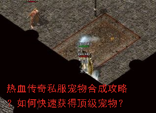 热血传奇私服宠物合成攻略?如何快速获得顶级宠物? 热血传奇私服宠物合成攻略?如何快速获得顶级宠物?