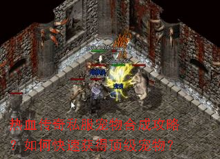 热血传奇私服宠物合成攻略?如何快速获得顶级宠物? 热血传奇私服宠物合成攻略?如何快速获得顶级宠物?