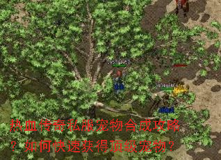 热血传奇私服宠物合成攻略?如何快速获得顶级宠物? 热血传奇私服宠物合成攻略?如何快速获得顶级宠物?