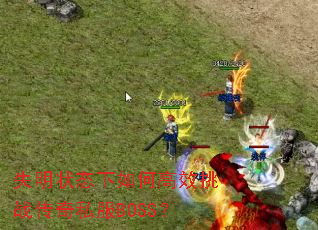 失明状态下如何高效挑战传奇私服BOSS? 失明状态下如何高效挑战传奇私服BOSS?