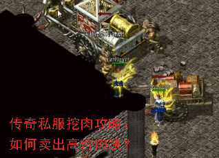 传奇私服挖肉攻略:如何卖出高价肉块? 传奇私服挖肉攻略:如何卖出高价肉块?