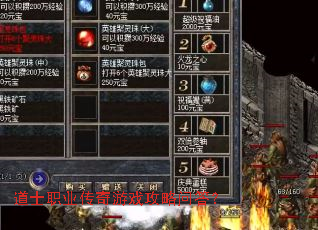 道士职业传奇游戏攻略问答? 道士职业传奇游戏攻略问答?