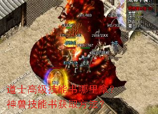 道士高级技能书哪里拿?神兽技能书获取方法? 道士高级技能书哪里拿?神兽技能书获取方法?