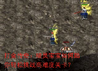 打金传奇:精灵宝宝如何助你轻松挑战高难度关卡? 打金传奇:精灵宝宝如何助你轻松挑战高难度关卡?