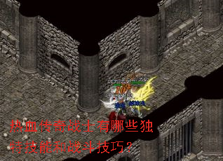 热血传奇战士有哪些独特技能和战斗技巧? 热血传奇战士有哪些独特技能和战斗技巧?