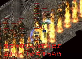 渣渣传奇私服攻略秘籍怎么用?新手必看技巧解析 渣渣传奇私服攻略秘籍怎么用?新手必看技巧解析