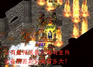 没有生肖装备和拥有生肖装备的差距究竟有多大? 没有生肖装备和拥有生肖装备的差距究竟有多大?