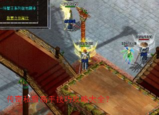 传奇私服高手技巧攻略大全? 传奇私服高手技巧攻略大全?