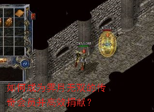 如何成为霁月无双的传奇会员并高效捐献? 如何成为霁月无双的传奇会员并高效捐献?