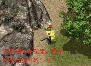 新轩辕传奇私服刺客如何快速提升战斗力? 新轩辕传奇私服刺客如何快速提升战斗力?