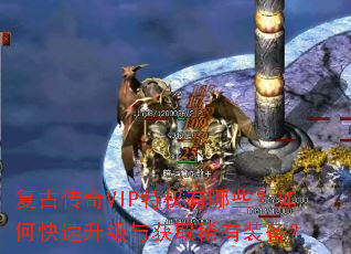 复古传奇VIP特权有哪些?如何快速升级与获取稀有装备? 复古传奇VIP特权有哪些?如何快速升级与获取稀有装备?