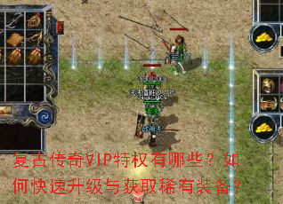 复古传奇VIP特权有哪些?如何快速升级与获取稀有装备? 复古传奇VIP特权有哪些?如何快速升级与获取稀有装备?
