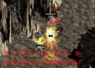 复古传奇VIP特权有哪些?如何快速升级与获取稀有装备? 复古传奇VIP特权有哪些?如何快速升级与获取稀有装备?
