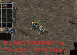 复古传奇VIP特权有哪些?如何快速升级与获取稀有装备? 复古传奇VIP特权有哪些?如何快速升级与获取稀有装备?