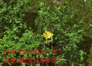 热血传奇秘境怎么去?秘境地图坐标是多少? 热血传奇秘境怎么去?秘境地图坐标是多少?