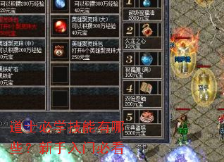 ��ʿ��ѧ��������Щ���������űؿ�