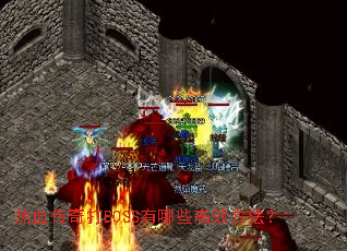 ��Ѫ�����BOSS����Щ��Ч������