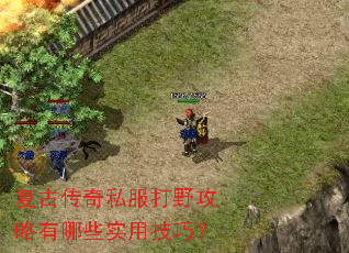 ���Ŵ���˽����Ұ��������Щʵ�ü��ɣ�