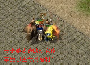 ������Ϸ���������������Щר��������