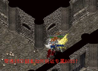 ������ӡ���������սר��BOSS��