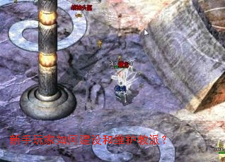 ���������ν����ά�����ɣ�