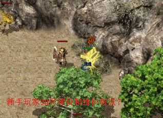 ���������ν����ά�����ɣ�