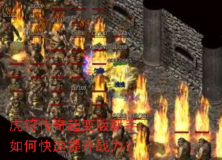 �������泬���������ο�������ս����