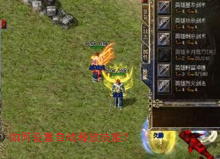 ��������Զ��ͷż��ܣ�