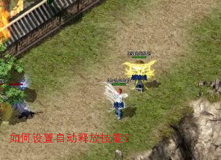 ��������Զ��ͷż��ܣ�