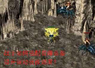 սʿ��δ����ױ�װ��������������Ч����