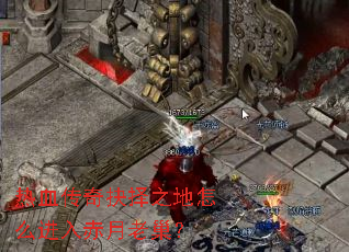 ��Ѫ�������֮����ô��������ϳ���