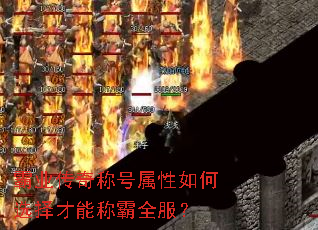 ��ҵ����ƺ��������ѡ����ܳư�ȫ����