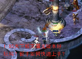 1.85天下毁灭屠龙版本好玩吗?新手如何快速上手? 1.85天下毁灭屠龙版本好玩吗?新手如何快速上手?