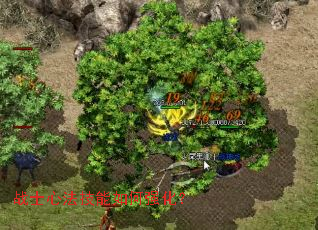 սʿ�ķ��������ǿ����