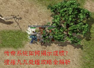 传奇系统如何揭示成绩?搜服九九处理攻略全解析 传奇系统如何揭示成绩?搜服九九处理攻略全解析