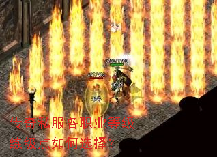 传奇私服各职业等级练级点如何选择? 传奇私服各职业等级练级点如何选择?