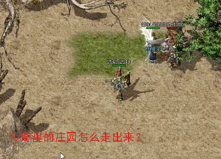 传奇里的庄园怎么走出来? 传奇里的庄园怎么走出来?