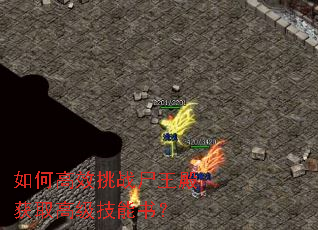 如何高效挑战尸王殿获取高级技能书? 如何高效挑战尸王殿获取高级技能书?