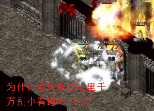 Ϊʲô˵������Ϸ��ǧ���С����ʿְҵ��
