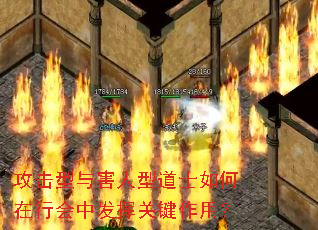 攻击型与害人型道士如何在行会中发挥关键作用? 攻击型与害人型道士如何在行会中发挥关键作用?