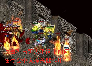 攻击型与害人型道士如何在行会中发挥关键作用? 攻击型与害人型道士如何在行会中发挥关键作用?