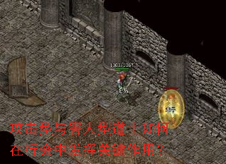 攻击型与害人型道士如何在行会中发挥关键作用? 攻击型与害人型道士如何在行会中发挥关键作用?